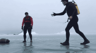 Ice Diving in the Arctic: What Happens When Your Regulator Freezes at 100ft?