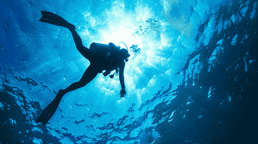 Plunging into the Depths: Exploring the World of Extreme Diving